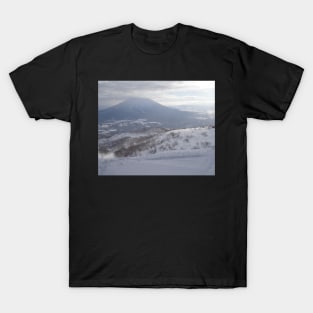 Take me to the ski fields! T-Shirt